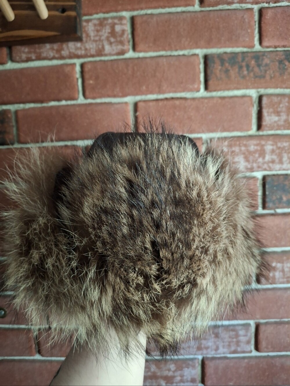 Vintage Racoon Hat - Picture 2 of 7